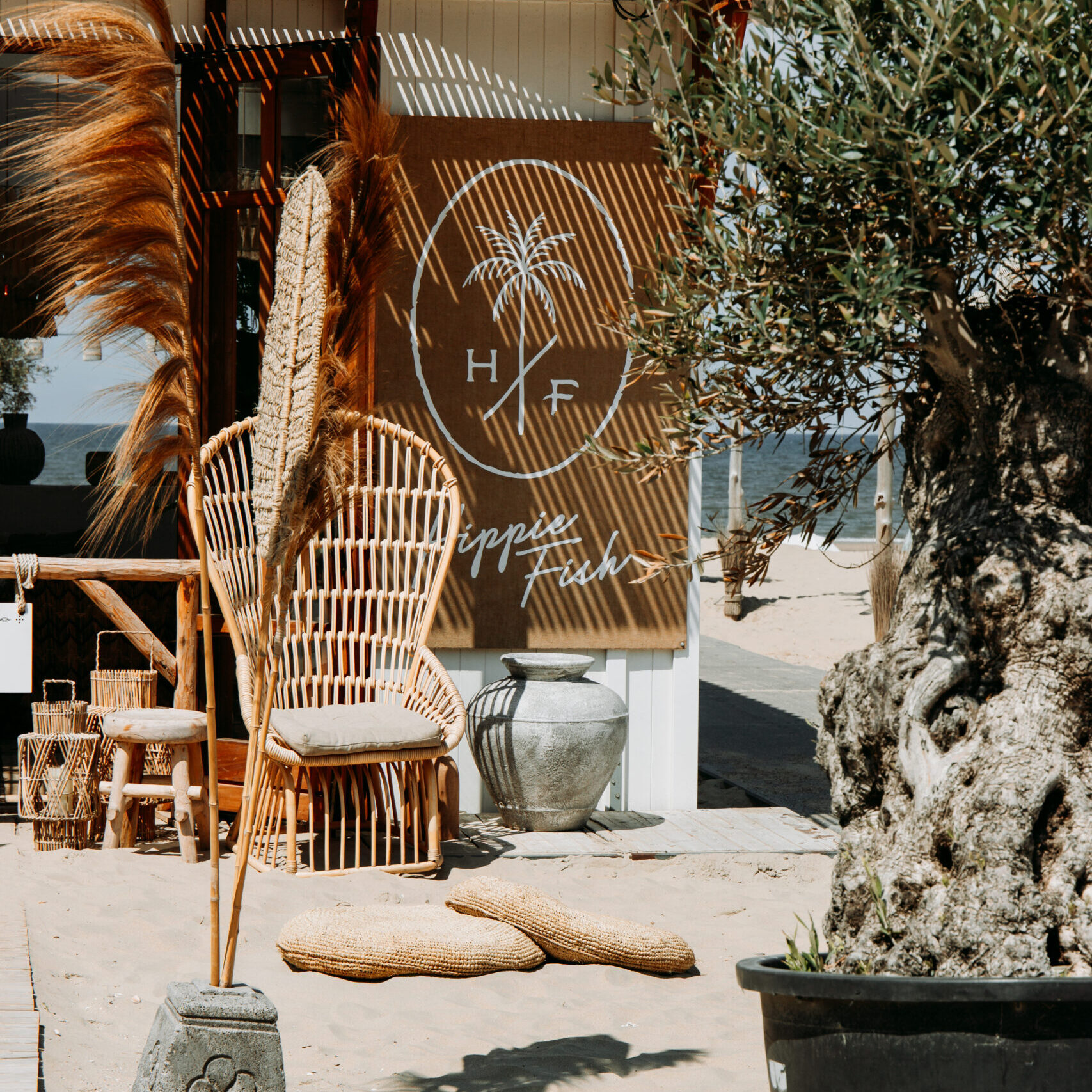 HappyFish+KayacaZandvoort-2